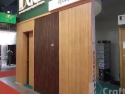 Инвизибл: специализированная дверь премиум-класса D.Craft Invisible EI30/42dB, высота 3 м