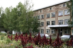 Камешкирская центральная районная больница, с. Русский Камешкир