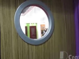 Качающаяся (маятниковая) дверь D.Craft для больниц, кафе и ресторанов